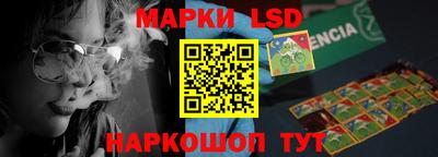СК Шелехов