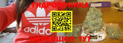 СК Шелехов
