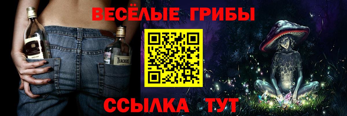 Галлюциногенные грибы GOLDEN TEACHER  Вход с VPN  Кохма 